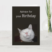 誕生日ユーモア可愛い猫感動的ユーモアアドバイス カード (正面)