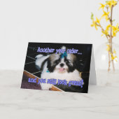 誕生日ユーモア – かわいいシーズー（犬） – 子犬 カード (黄色い花)