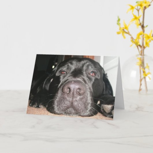 誕生日ラボ カード (黄色い花)