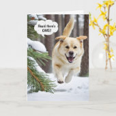 誕生日リトランニングリーバーの雪 カード (黄色い花)