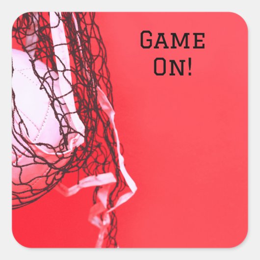 誕生日レッドネット&バレーボール スクエアシール (正面)