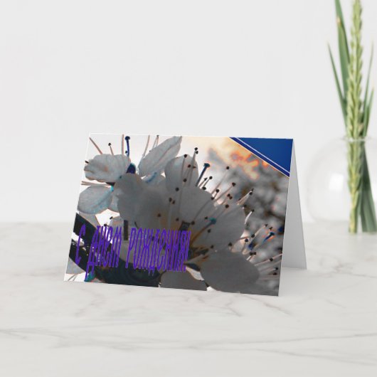 誕生日ロシアのカードとさくらんぼ花 カード (正面)