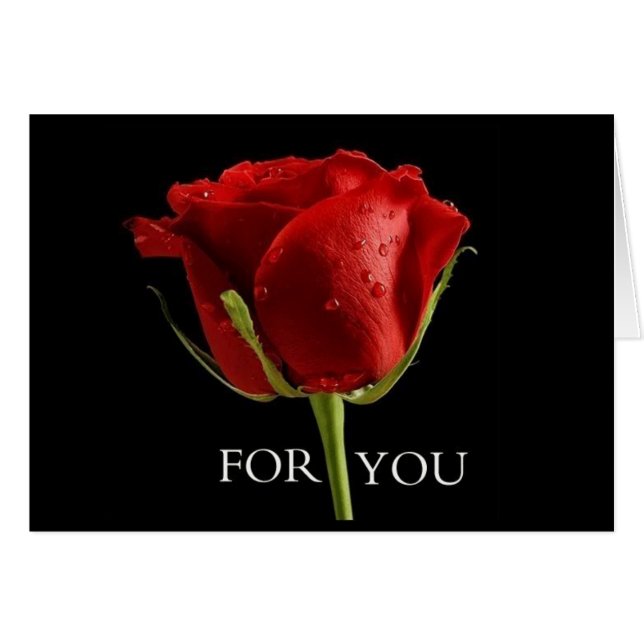 誕生日上の***最高の FRIEND**の美しいバラ (正面横)