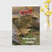 誕生日亀 カード (黄色い花)