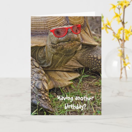 誕生日亀 カード (黄色い花)