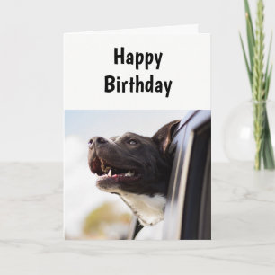 誕生日他のユーモア犬のカードのように1日 カード