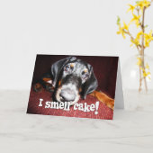 誕生日大将-おせっかいな（犬）ドーベルマン・ピンシェルの子犬 カード