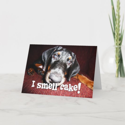 誕生日大将-おせっかいな（犬）ドーベルマン・ピンシェルの子犬 カード (正面)