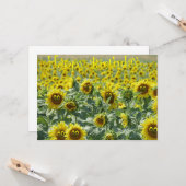 誕生日太陽 カード (正面/裏面インサイチュ)