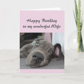 誕生日妻おもしろい犬のユーモアのリラックス定義 カード (正面)