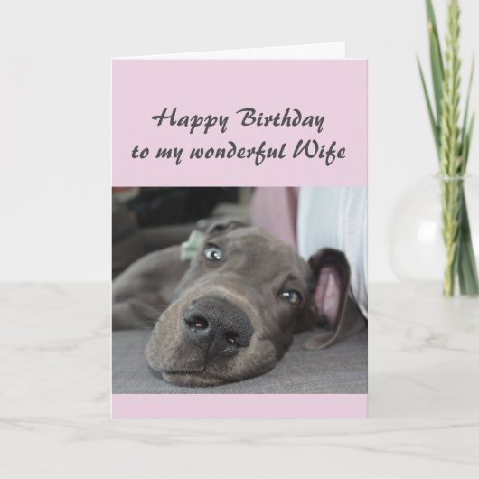誕生日妻おもしろい犬のユーモアのリラックス定義 カード (正面)