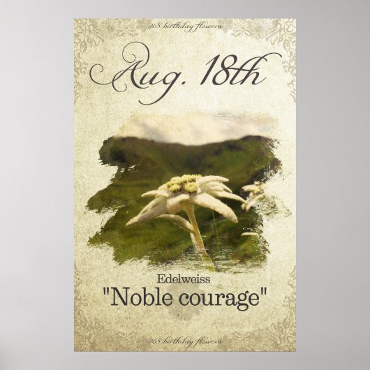 誕生日威厳があるの花18日「エーデルワイス」 ポスター (正面)
