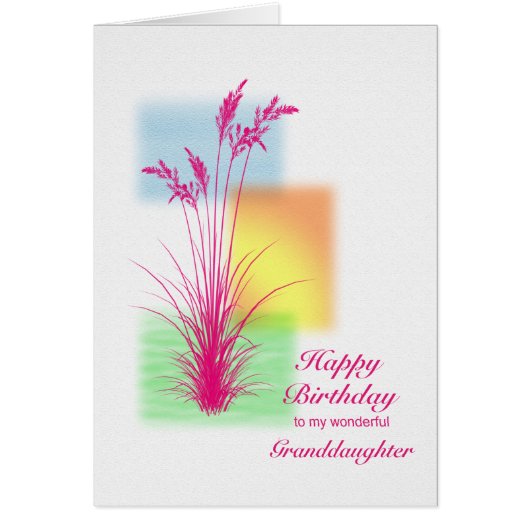 誕生日孫娘のシーン (正面)