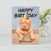 誕生日帽子をかぶった子犬のバースデーグリーティング カード (スタンド正面)