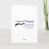 誕生日恵みカード カード (裏面)