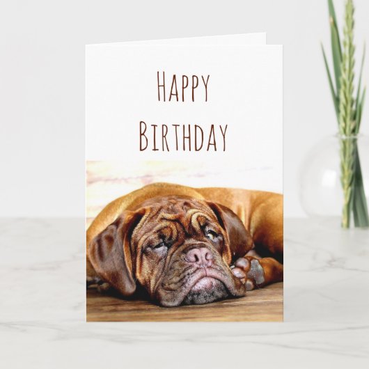 誕生日悲しい犬ステイ温和ユーモア カード (正面)