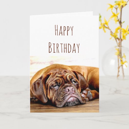 誕生日悲しい犬ステイ温和ユーモア カード (黄色い花)
