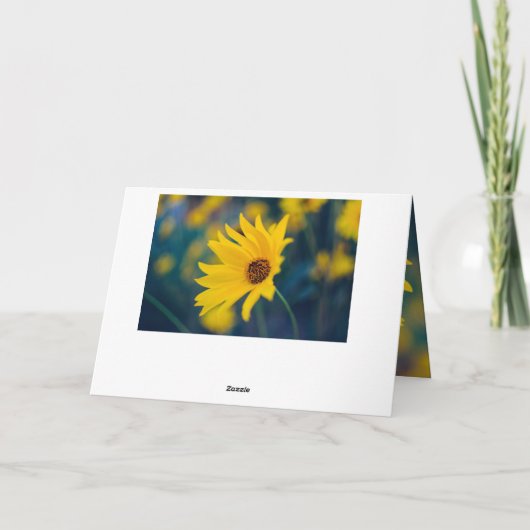 誕生日感動的聖書聖句エレミヤ29:11 カード (裏面)