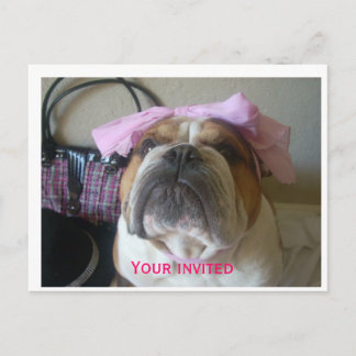 誕生日招待状はがき インビテーションポストカード