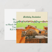 誕生日招待状 招待状 (正面/裏面)