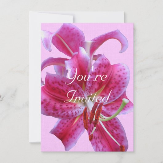 誕生日招待状- Stargazersの概要 招待状 (正面)