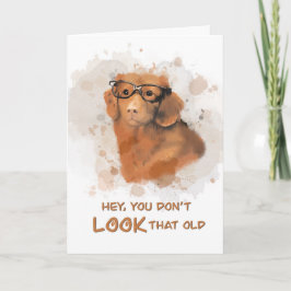 誕生日犬は古く見えない カード