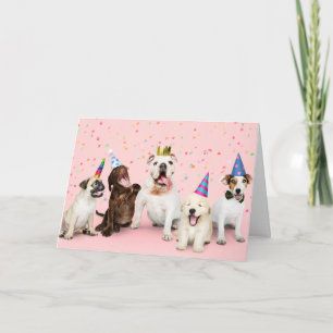 誕生日犬 カード