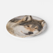 誕生日狼かわいい男の子 ペーパープレート (アングル)