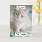 誕生日猫パパワールド最高のズ・エバーペット写真 カード (黄色い花)