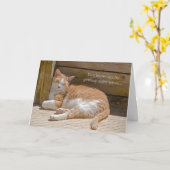 誕生日猫昼寝 カード (黄色い花)