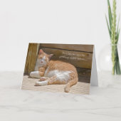 誕生日猫昼寝 カード (正面)
