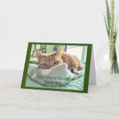 誕生日猫昼寝 カード (正面)