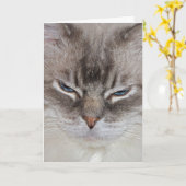 誕生日猫 カード (黄色い花)