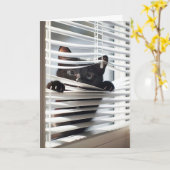 誕生日用ブラインドの黒猫 カード (黄色い花)