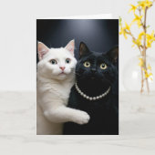 誕生日白猫が黒猫を抱く カード (黄色い花)