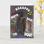 誕生日知恵 カード (黄色い花)