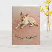 誕生日空白のカード – dingo カード (黄色い花)