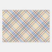 誕生日素朴タータンチェック格子自然色レトロ ラッピングペーパーシート (正面3)