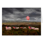 誕生日羊 (正面横)