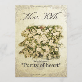 誕生日花11月30日「ベビーの息」 カード
