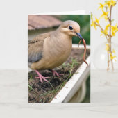 誕生日虫付き樋の喪ハト カード (黄色い花)
