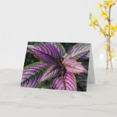 誕生日賛美の写真カード カード (黄色い花)