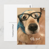 誕生日遅れたゴールデンレトリバーの犬 メガネをかけた遅れた誕生日 ポストカード (正面/裏面)