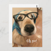 誕生日遅れたゴールデンレトリバーの犬 メガネ ポストカード (正面/裏面)