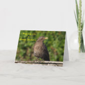 誕生日鳥 カード (正面)