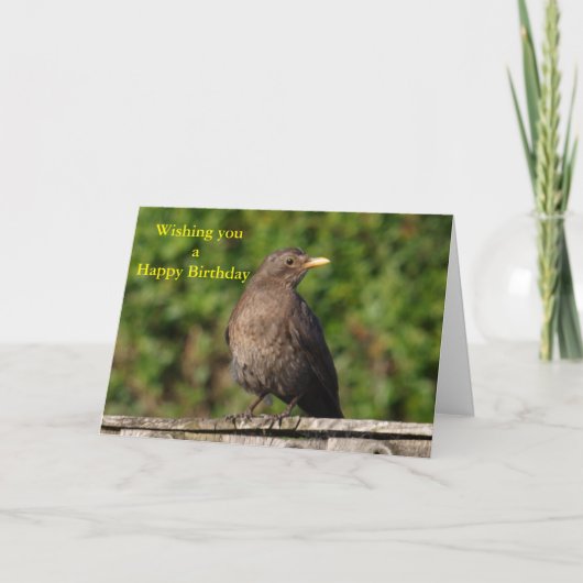 誕生日鳥 カード (正面)