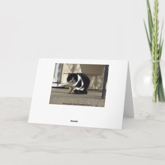 誕生日黒猫 カード (裏面)