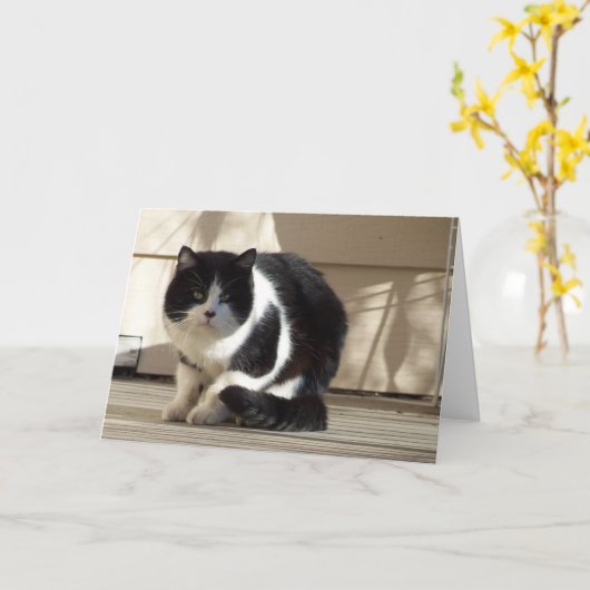 誕生日黒猫 カード (黄色い花)