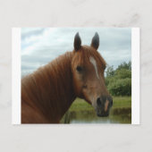 誕生日012 ポストカード (正面)