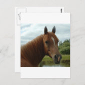 誕生日012 ポストカード (正面/裏面)